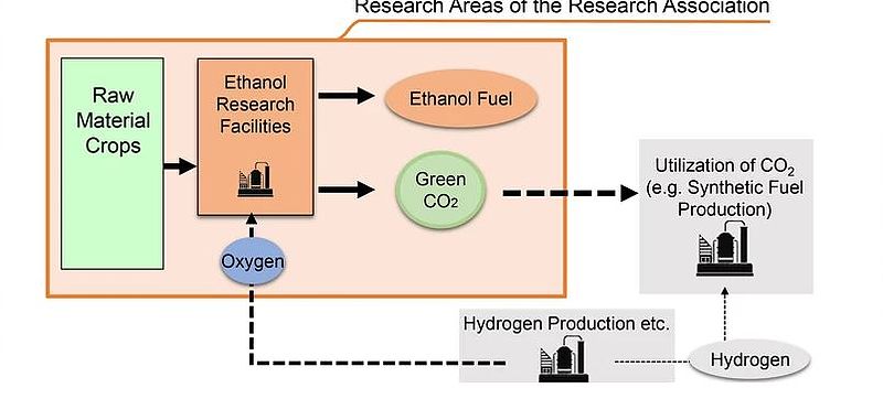 Toyota an Forschungsverbund zur Bioethanol-Herstellung beteiligt